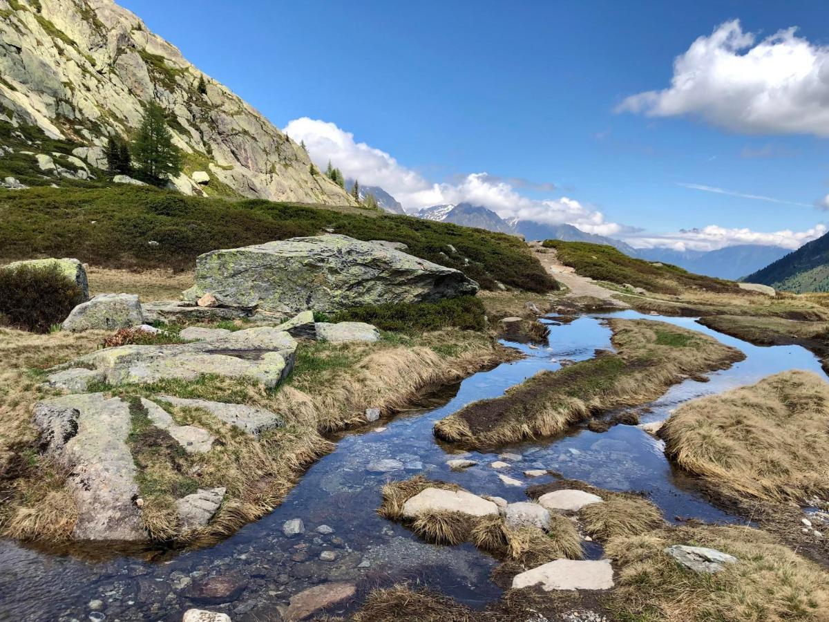 Viachamonix I Confort & Nature, Skis Aux Pieds Vallorcine Exteriör bild